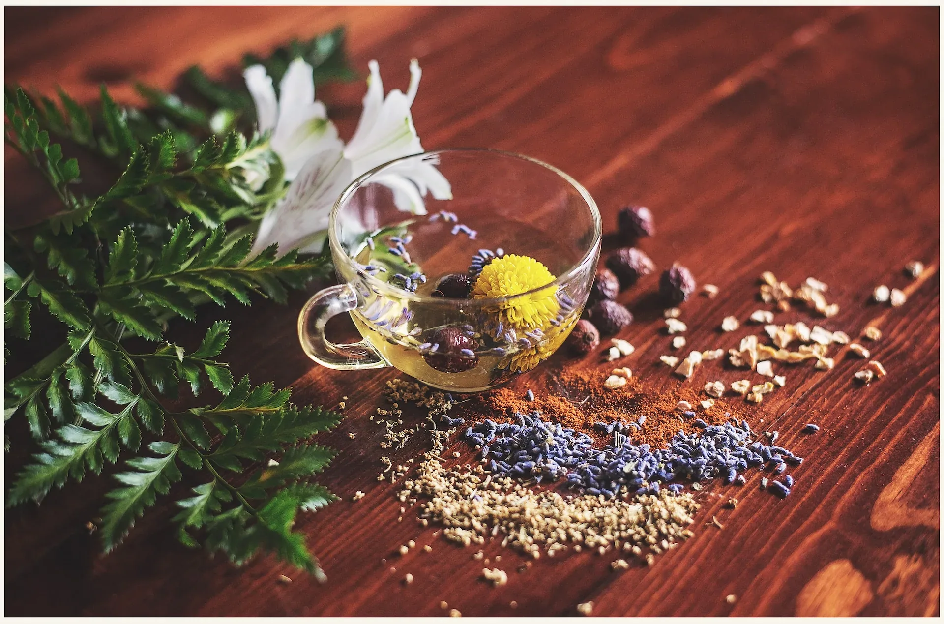 Natural botanicals, herbs, and clean health ingredients