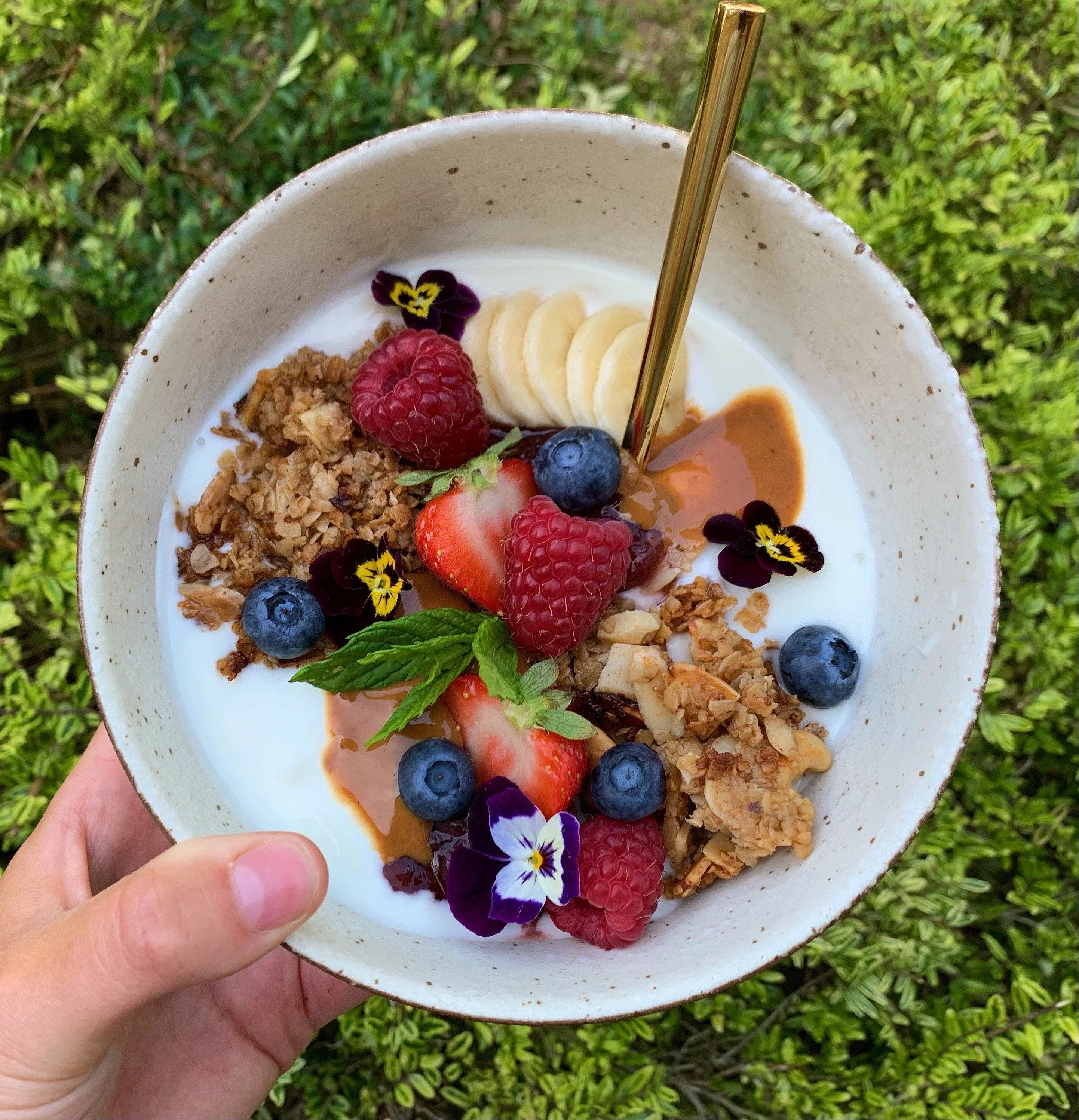 Organic kefir and probiotic yogurt fermentation bowls