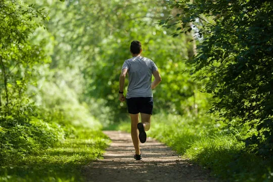 Person running on an outdoor forest path during morning light